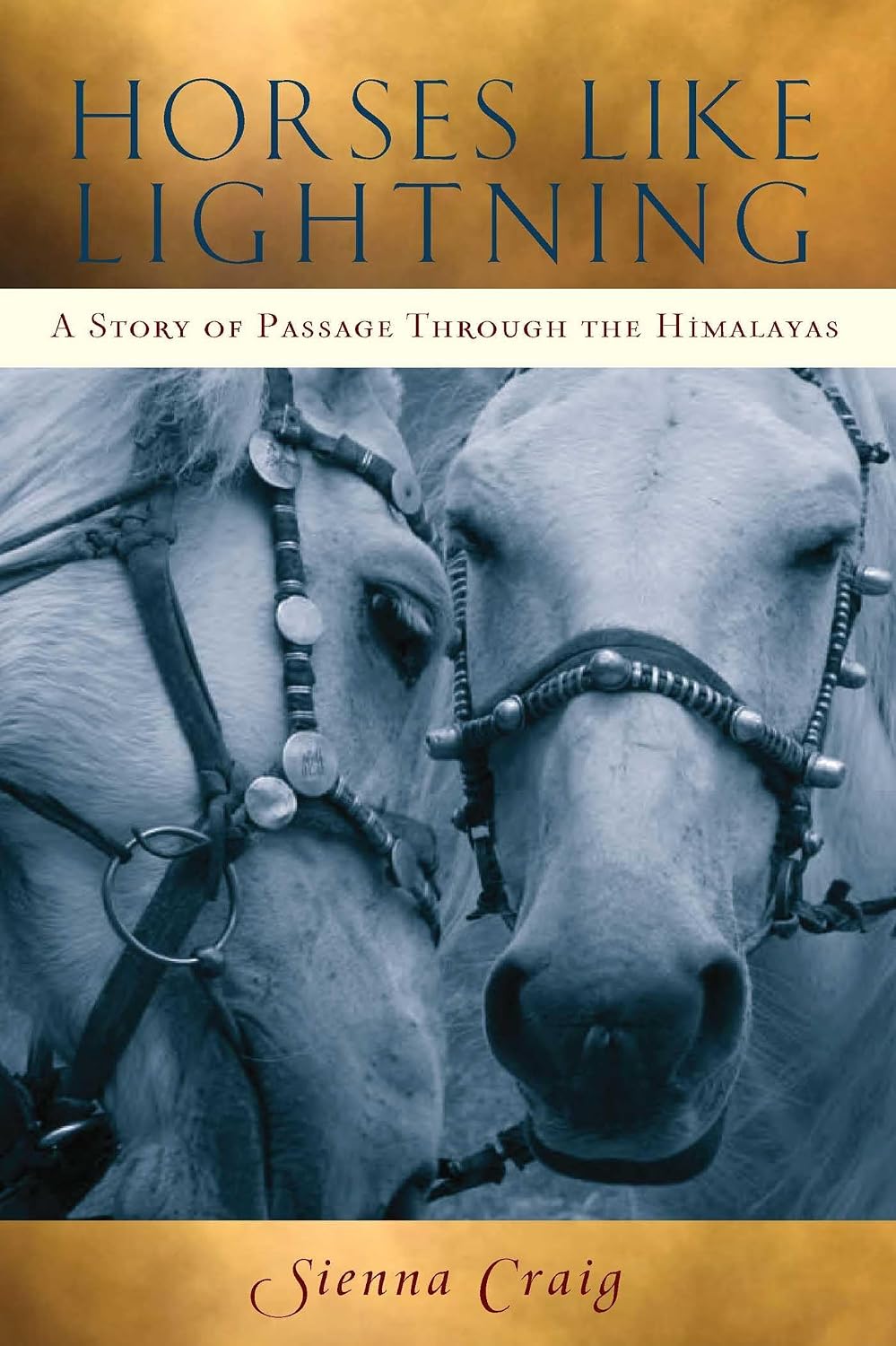Horses like lightning: a story of passage through the Himalayas