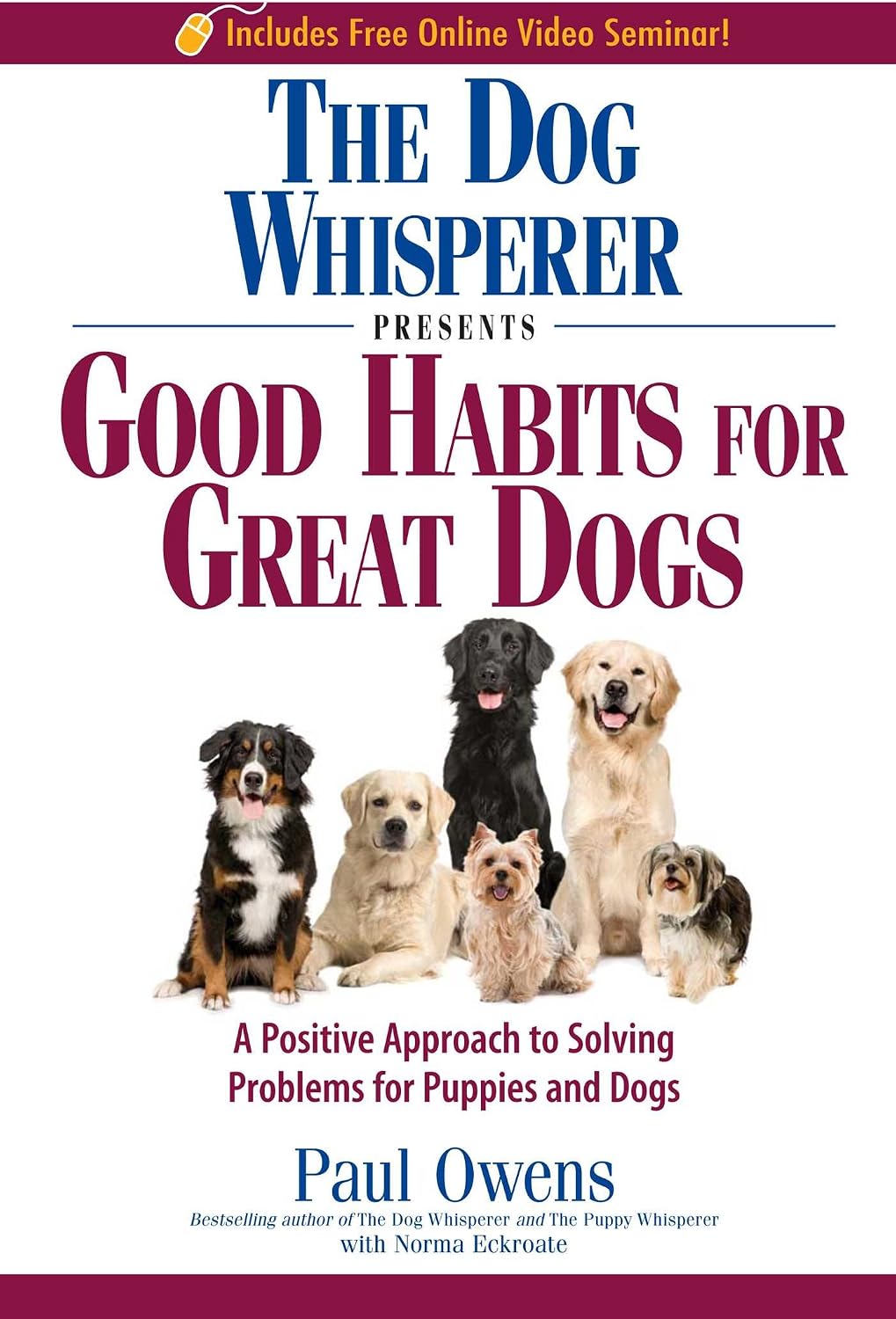 The Dog Whisperer Presents Good Habits for Great Dogs
