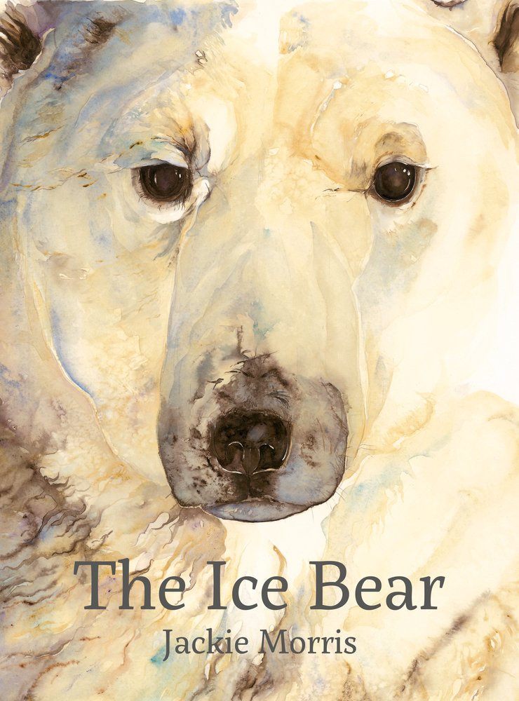 Ice Bear: a Focus Journal