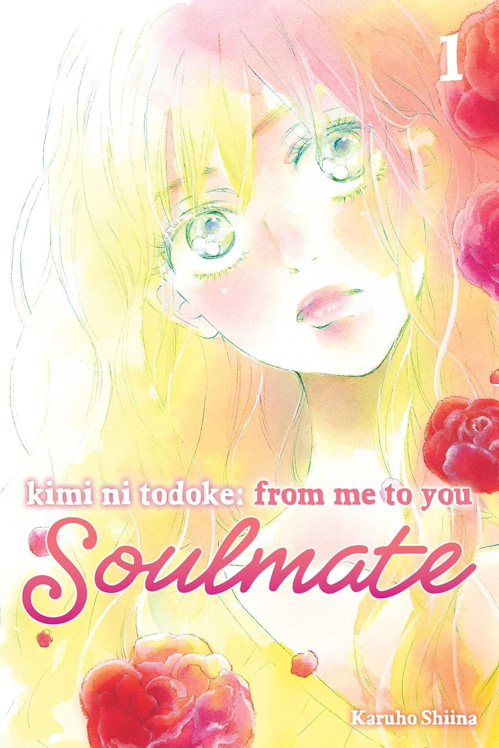 Kimi Ni Todoke, Vol. 1
