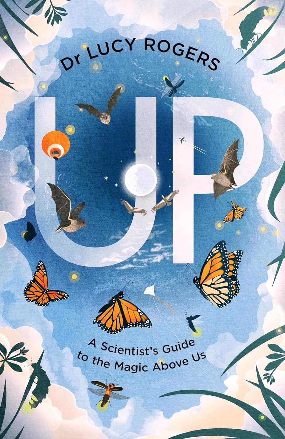 Up: a Scientist's Guide to the Magic Above Us