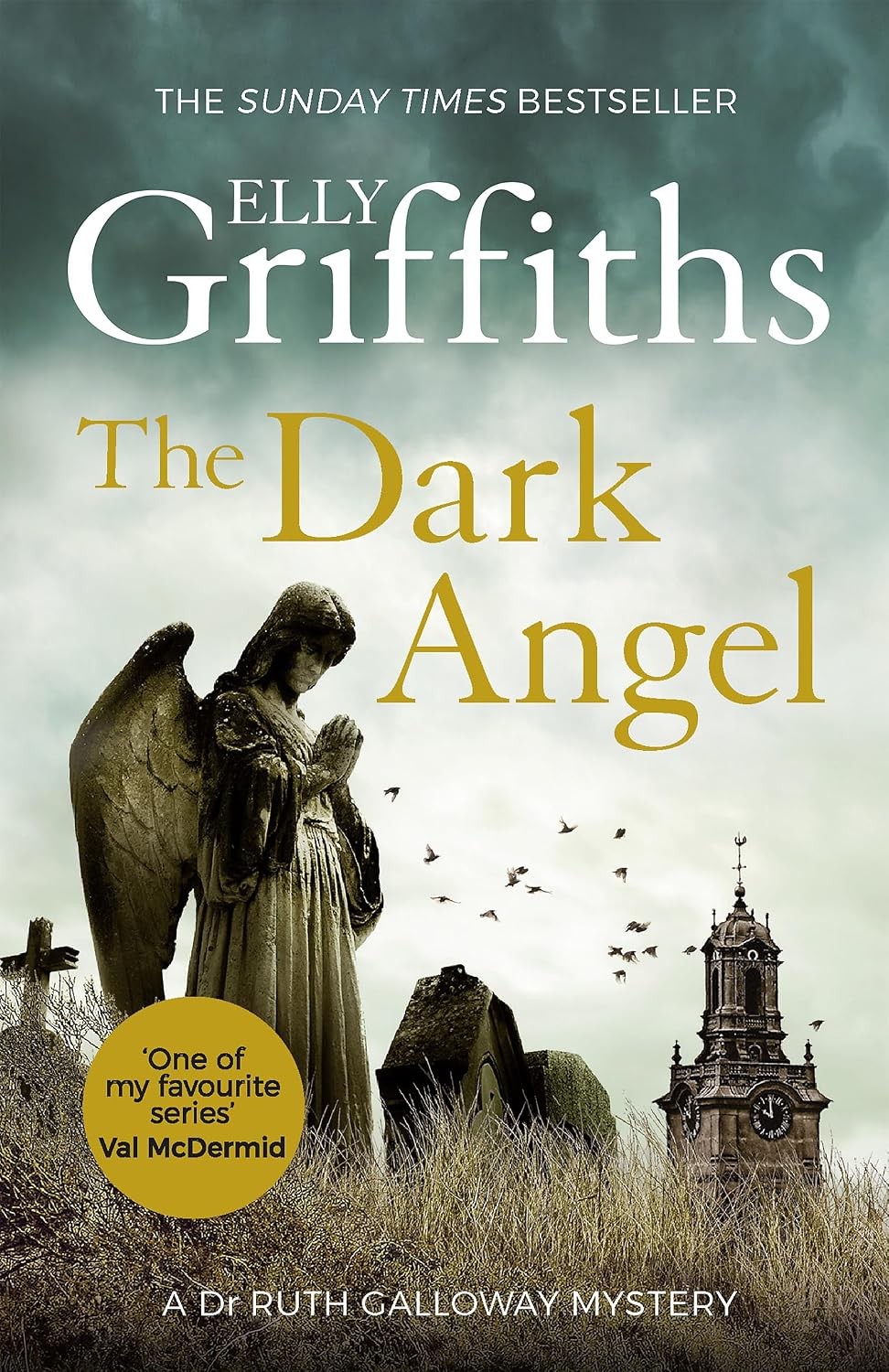 Dark Angel: Ruth Galloway 10