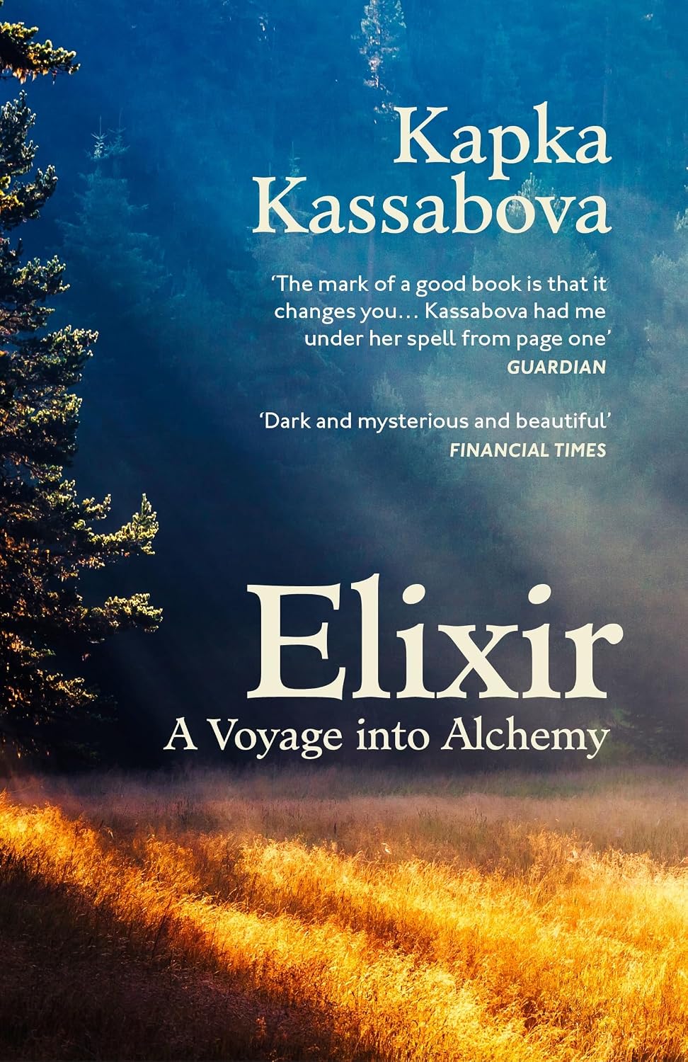 Elixir: a Voyage Into Alchemy