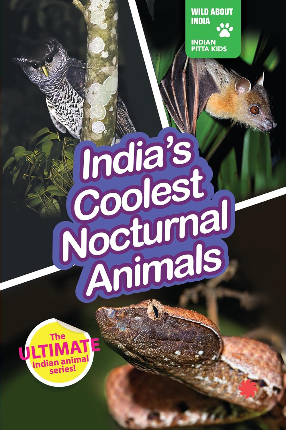 India's Coolest Nocturnal Animals