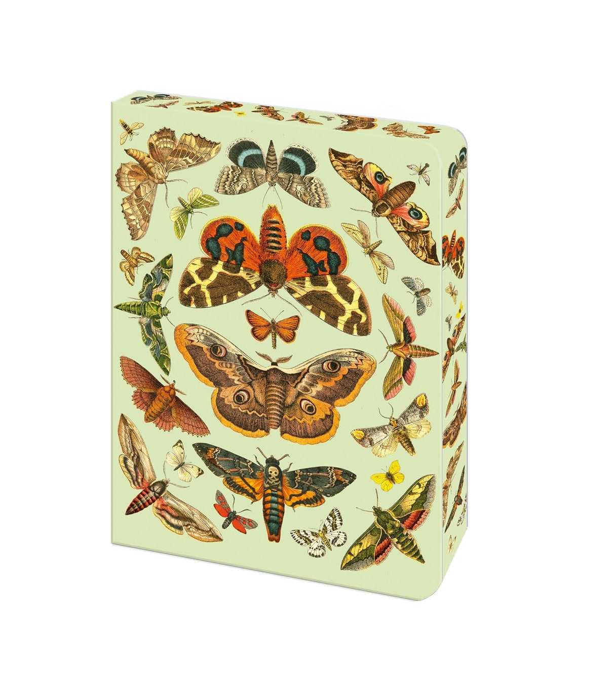 The Moth Journal