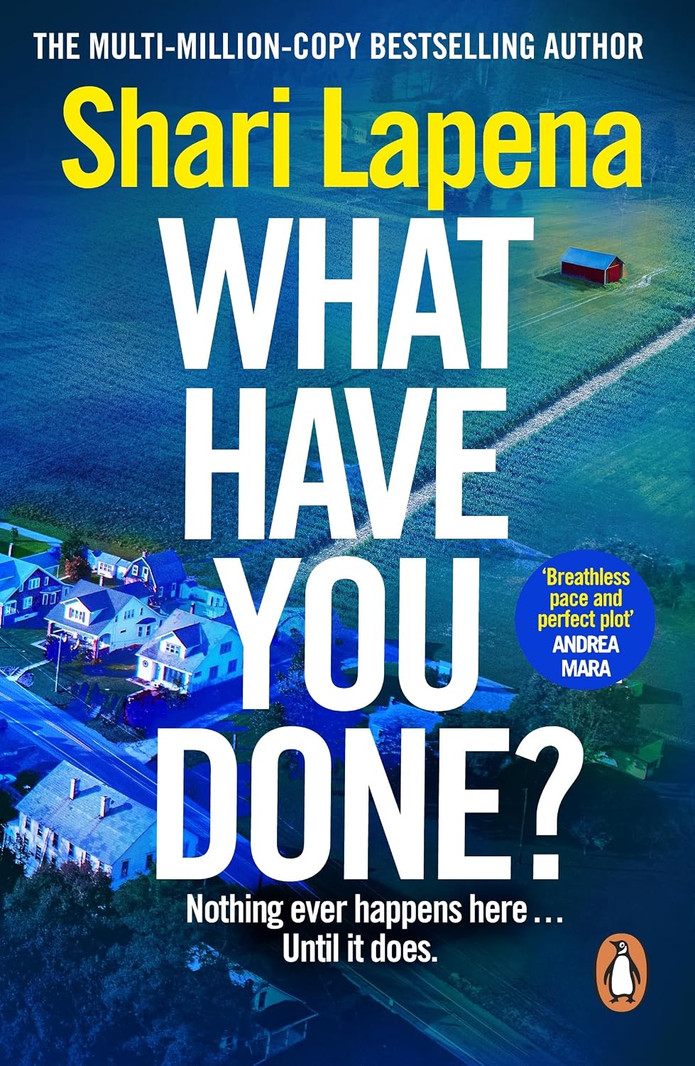 What Have You Done?: A Novel