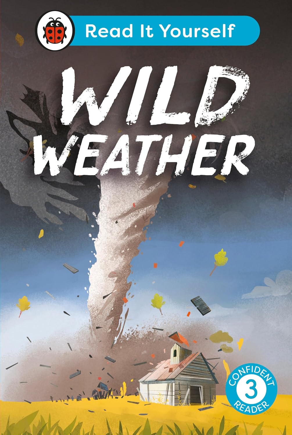 Wild Weather: Read it Yourself - Level 3 Confident Reader