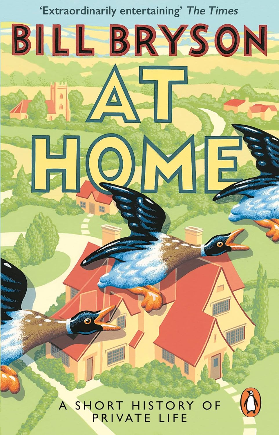 At home: a short history of private life