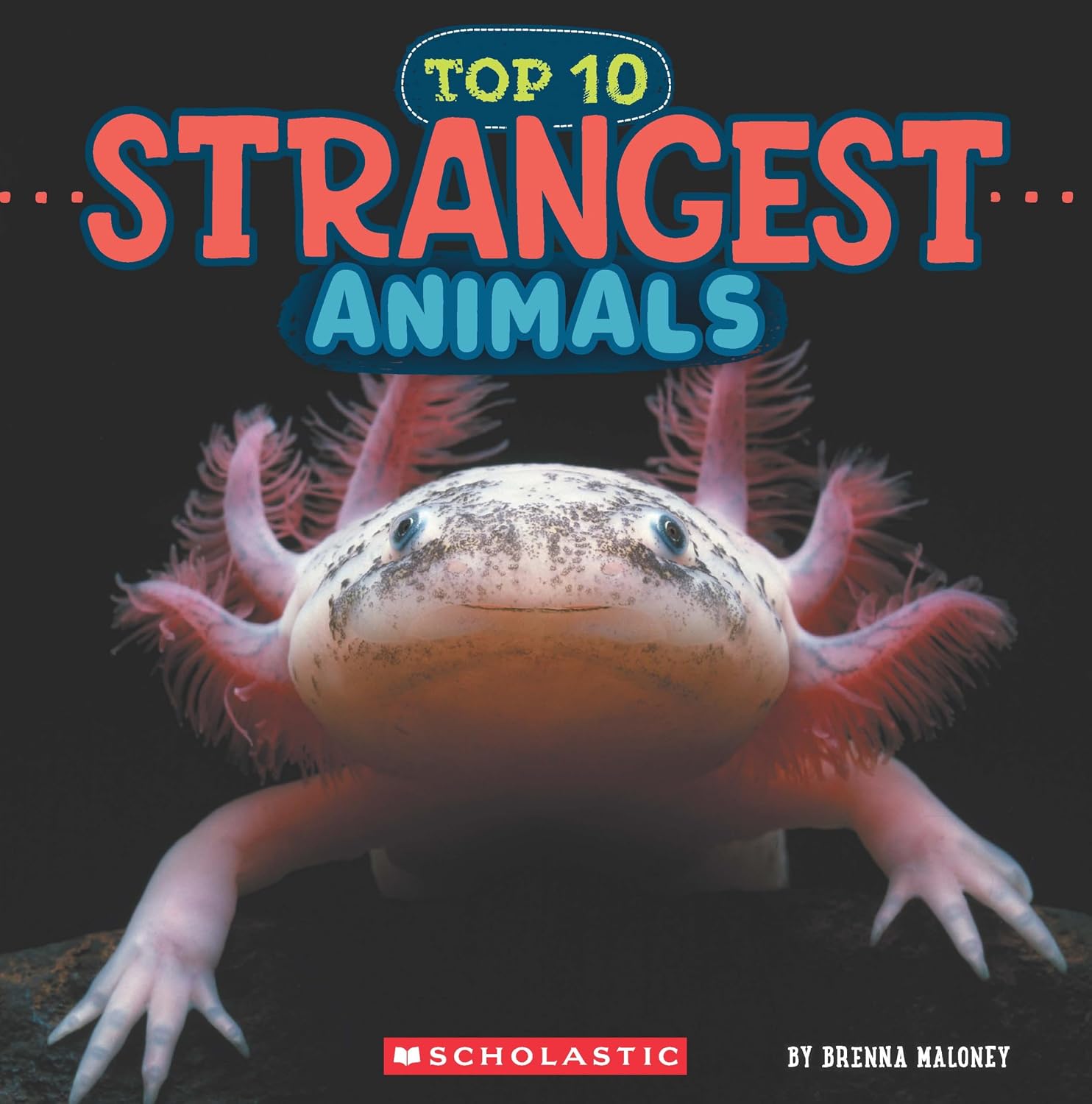 Strangest Animals