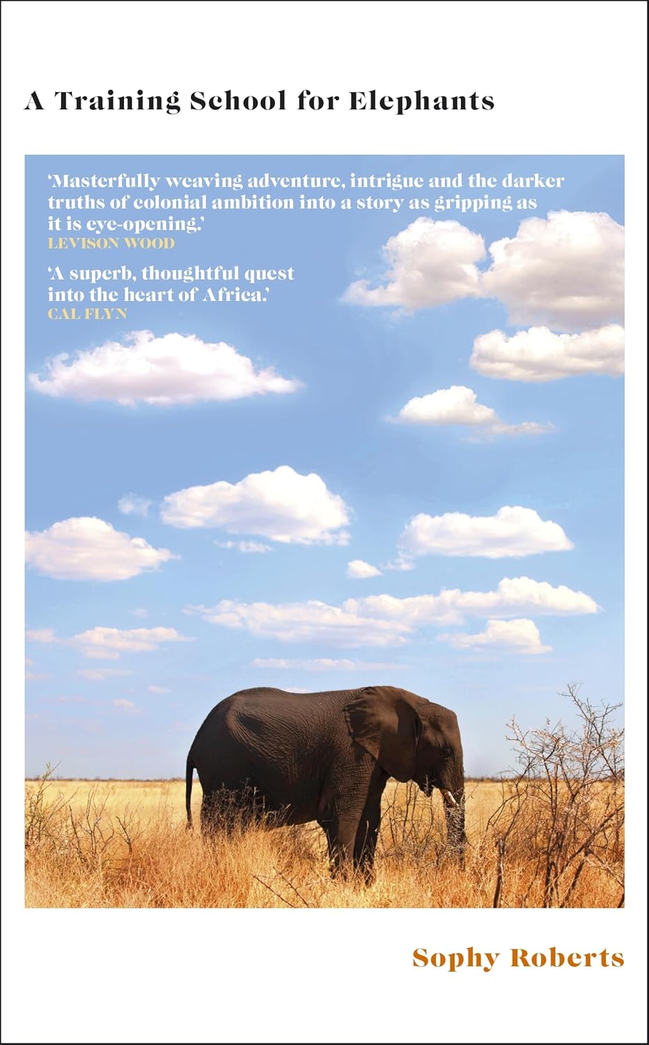 Training School for Elephants