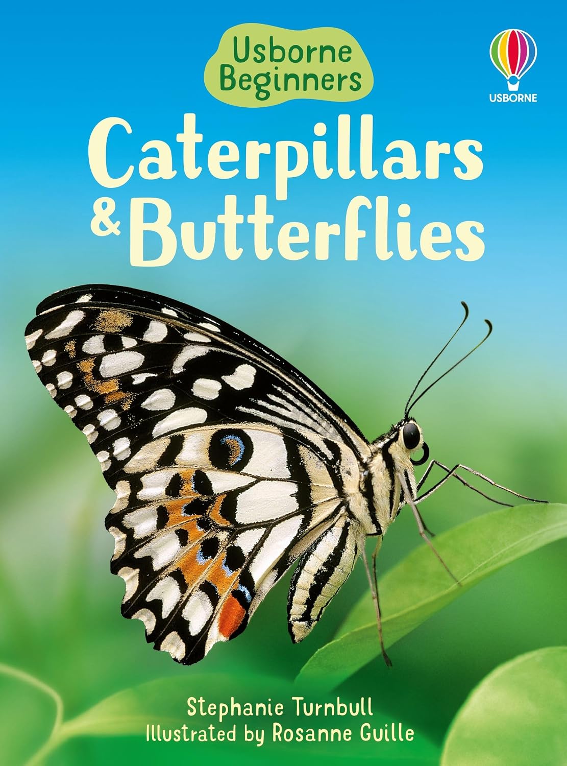 Caterpillars & Butterflies