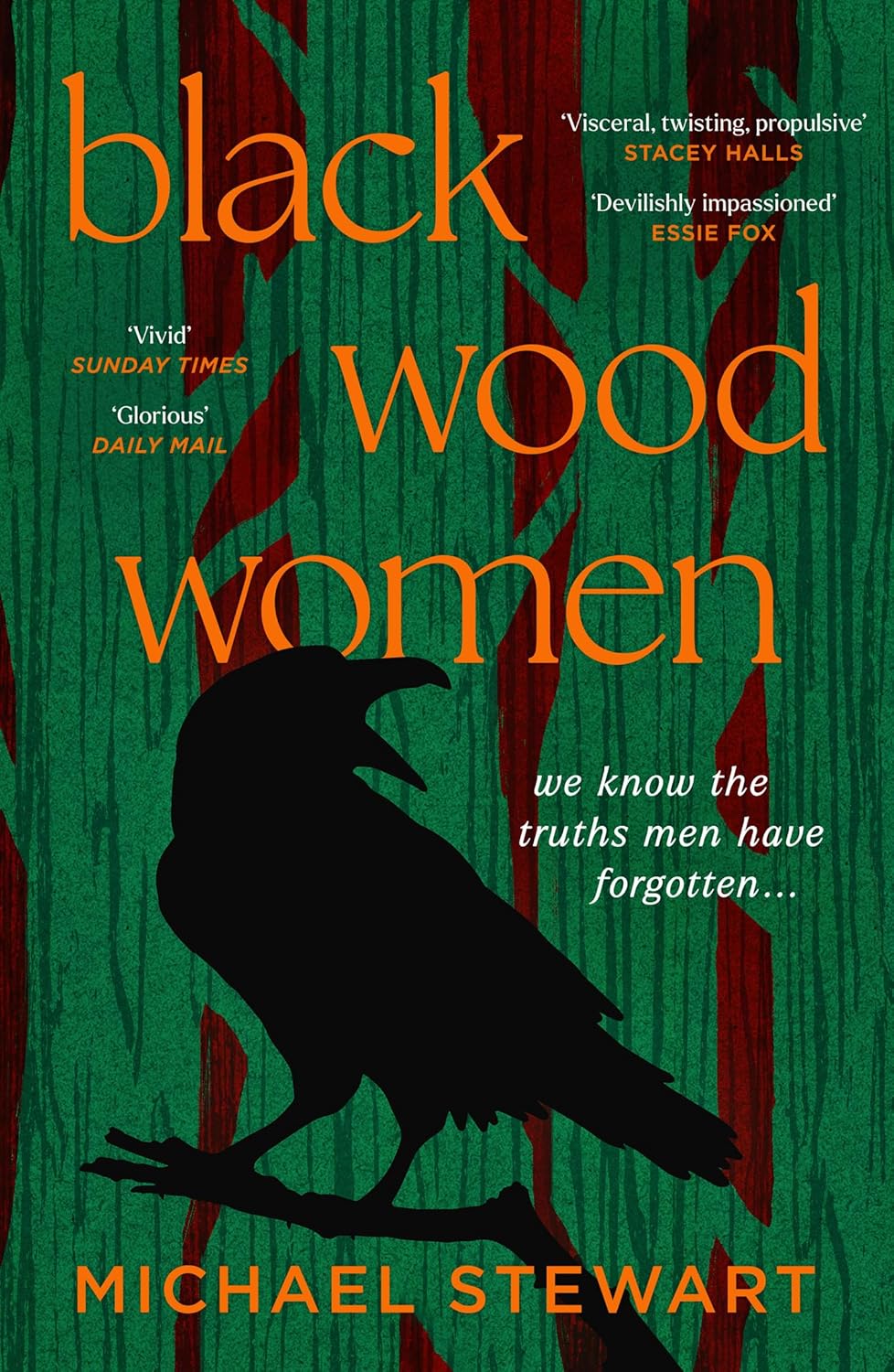 Black Wood Women: a Spellbinding, Gripping, Unputdownable Historical Novel, to Read in 2026
