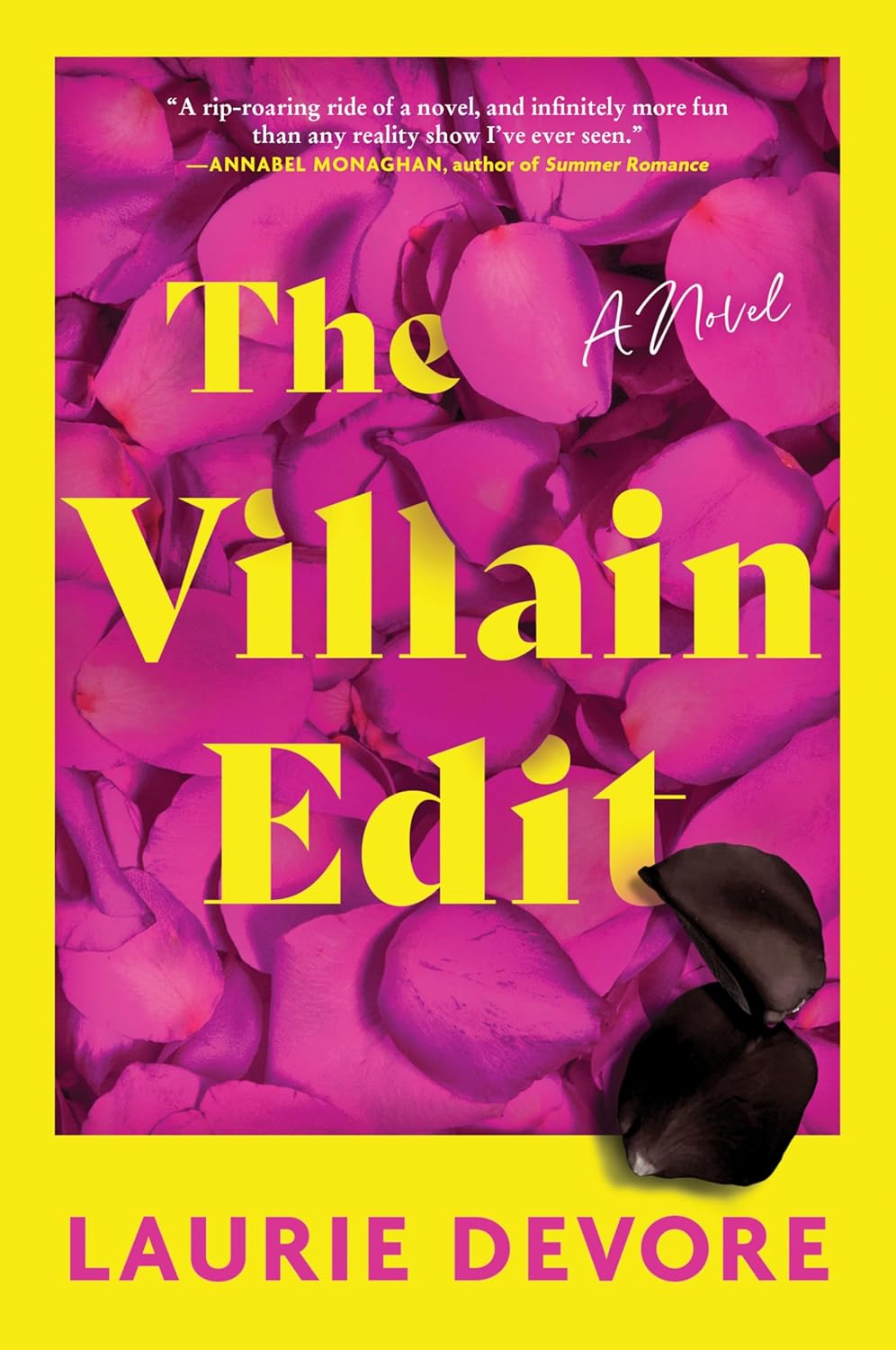 The Villain Edit: a Novel