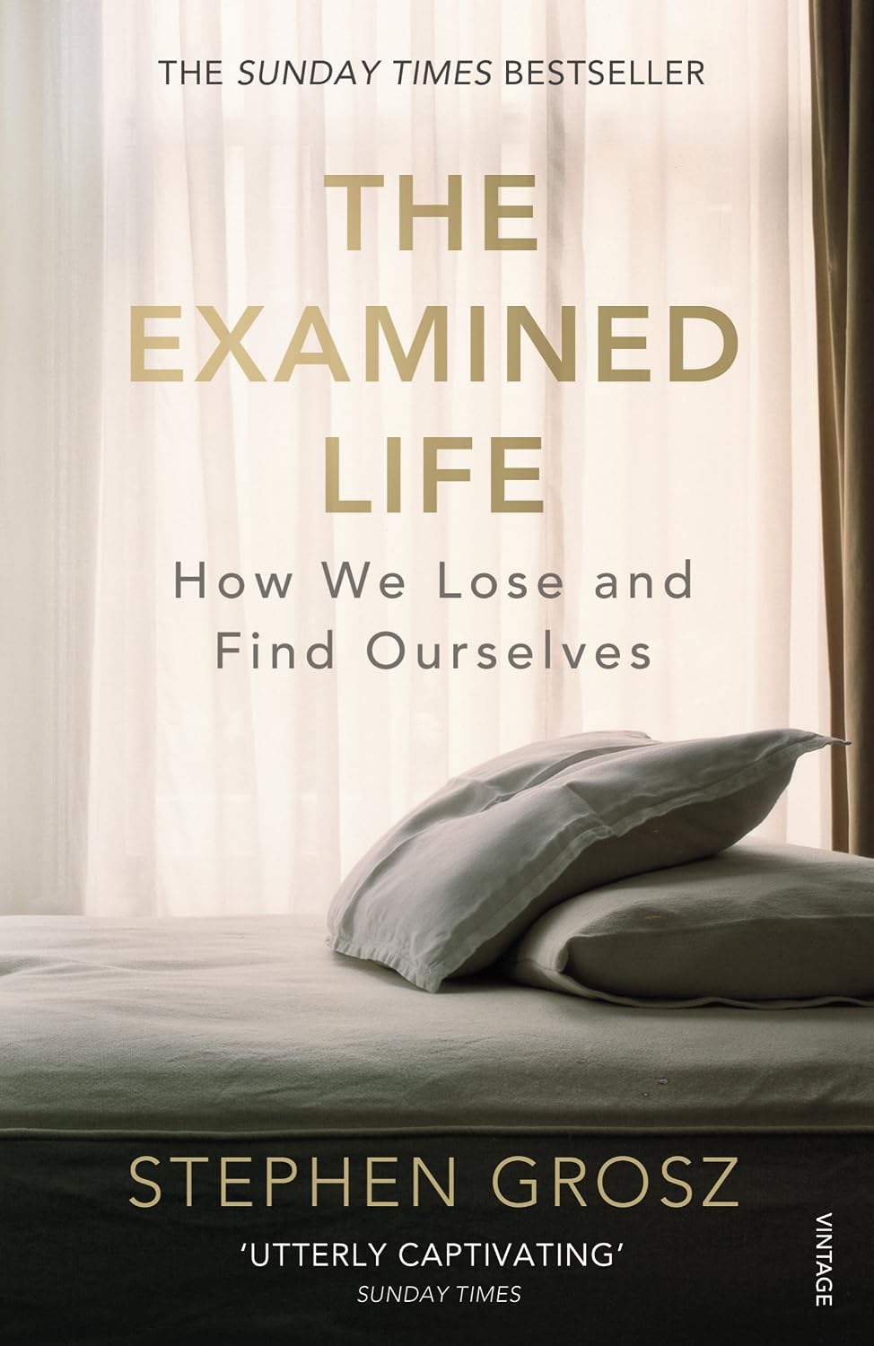 Examined Life: How We Lose and Find Ourselves