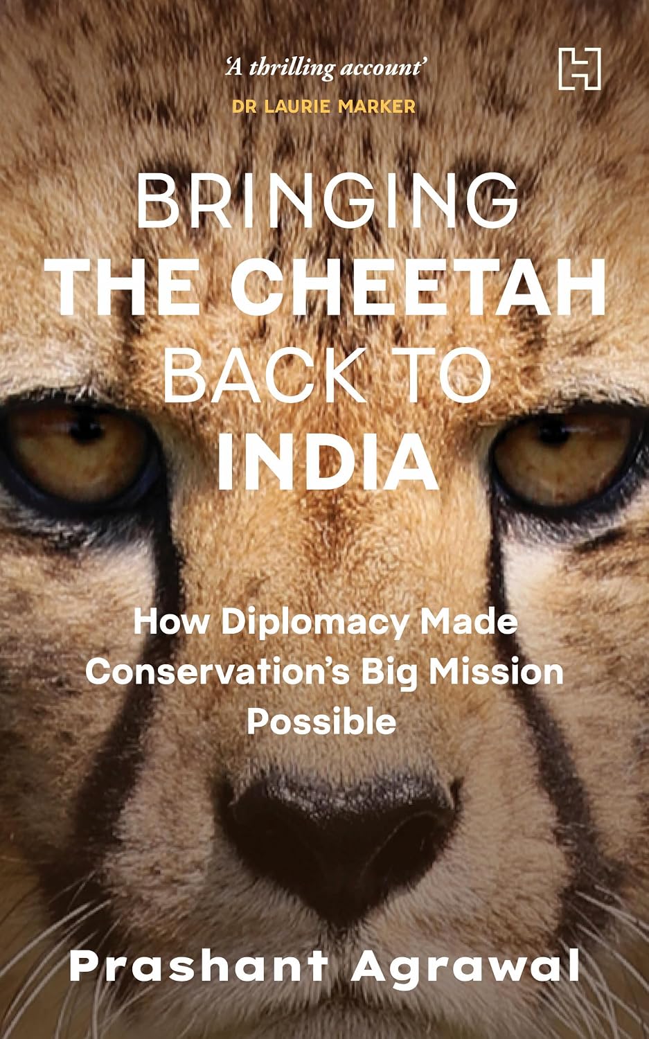 Bringing the Cheetah Back to India: How Diplomacy Made Conservation's Big Mission Possible