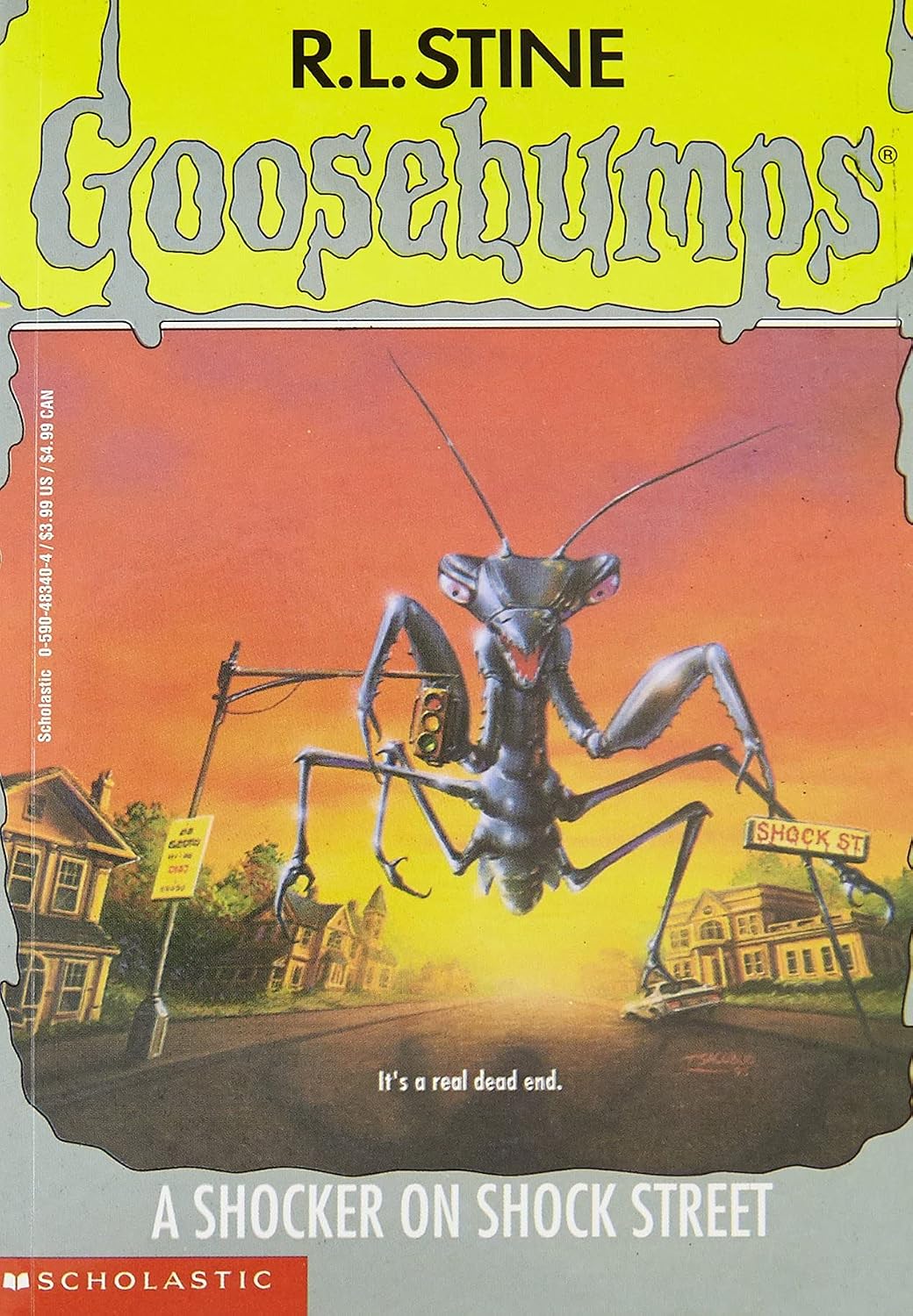 A Shocker on Shock Street: Goosebumps #35