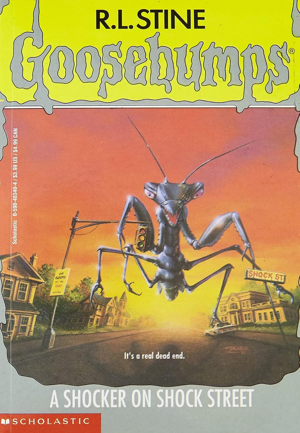 A Shocker on Shock Street: Goosebumps #35