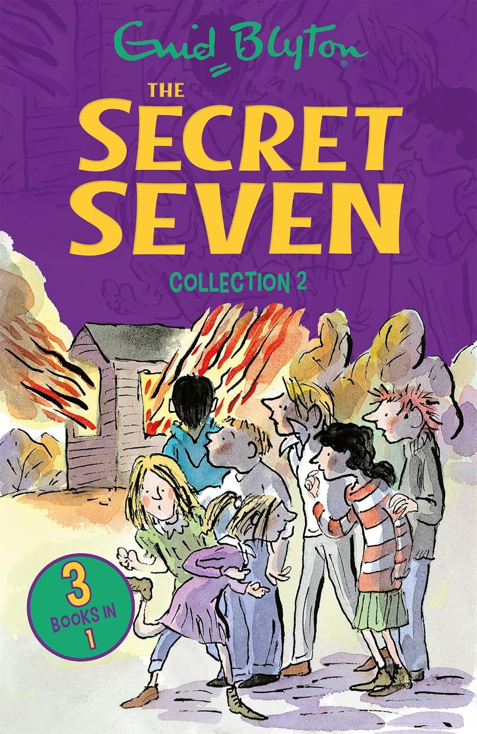 Secret Seven Collection 2: Books 4-6