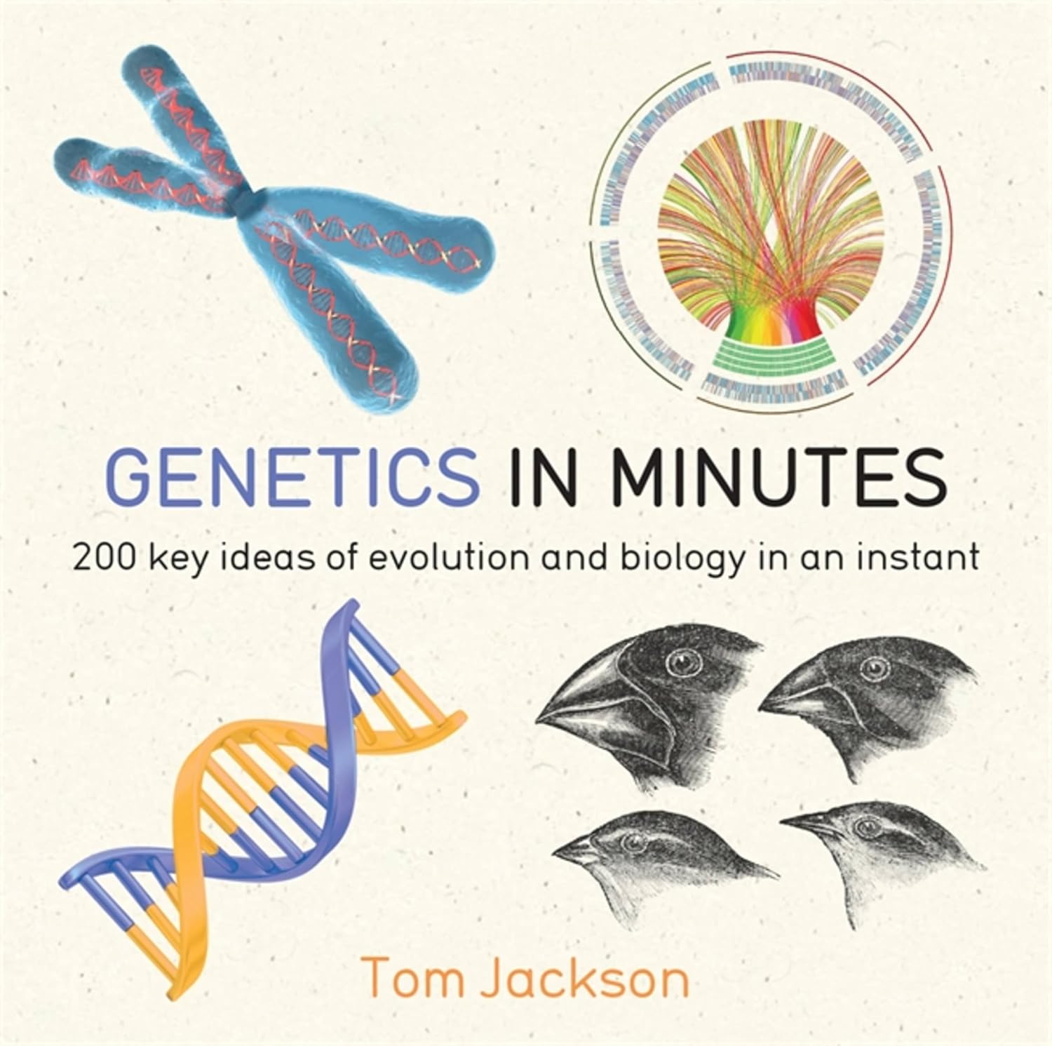 Genetics in Minutes (in Minutes Series)