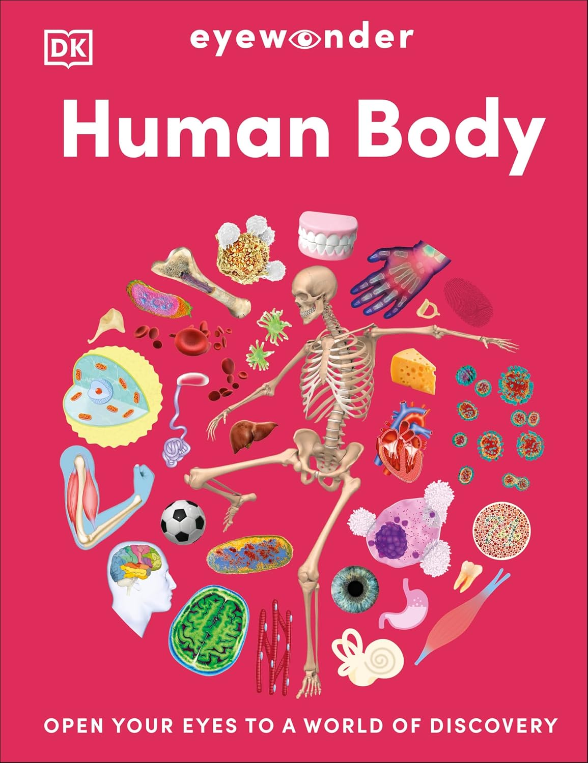 Eyewonder Human Body: Discover All the Ways That You Are Amazing
