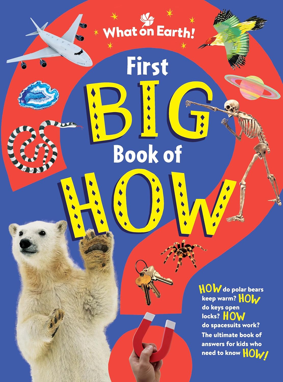 First Big Book of How