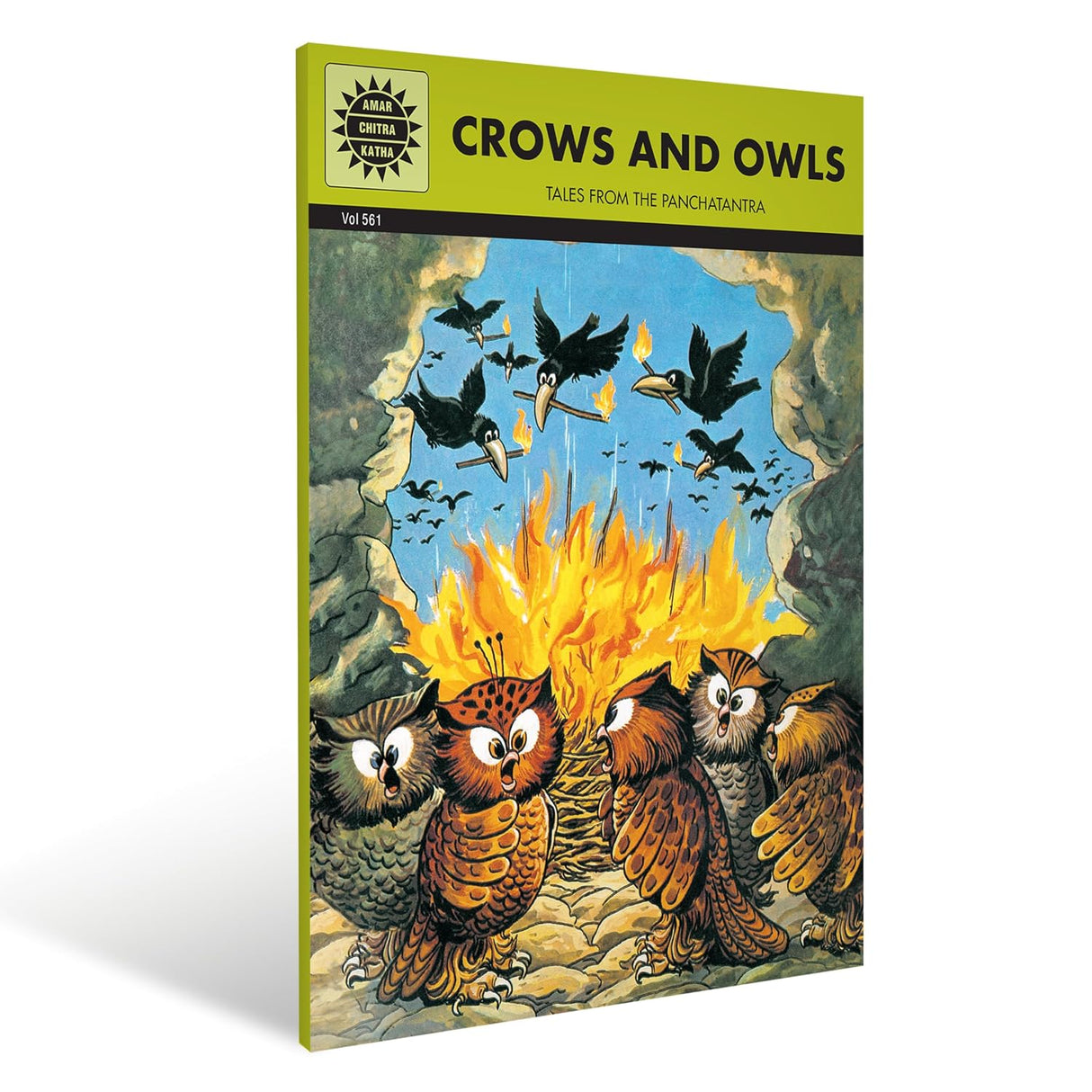 Crows and Owls