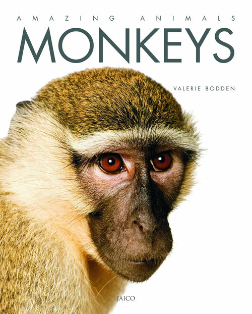 Monkeys