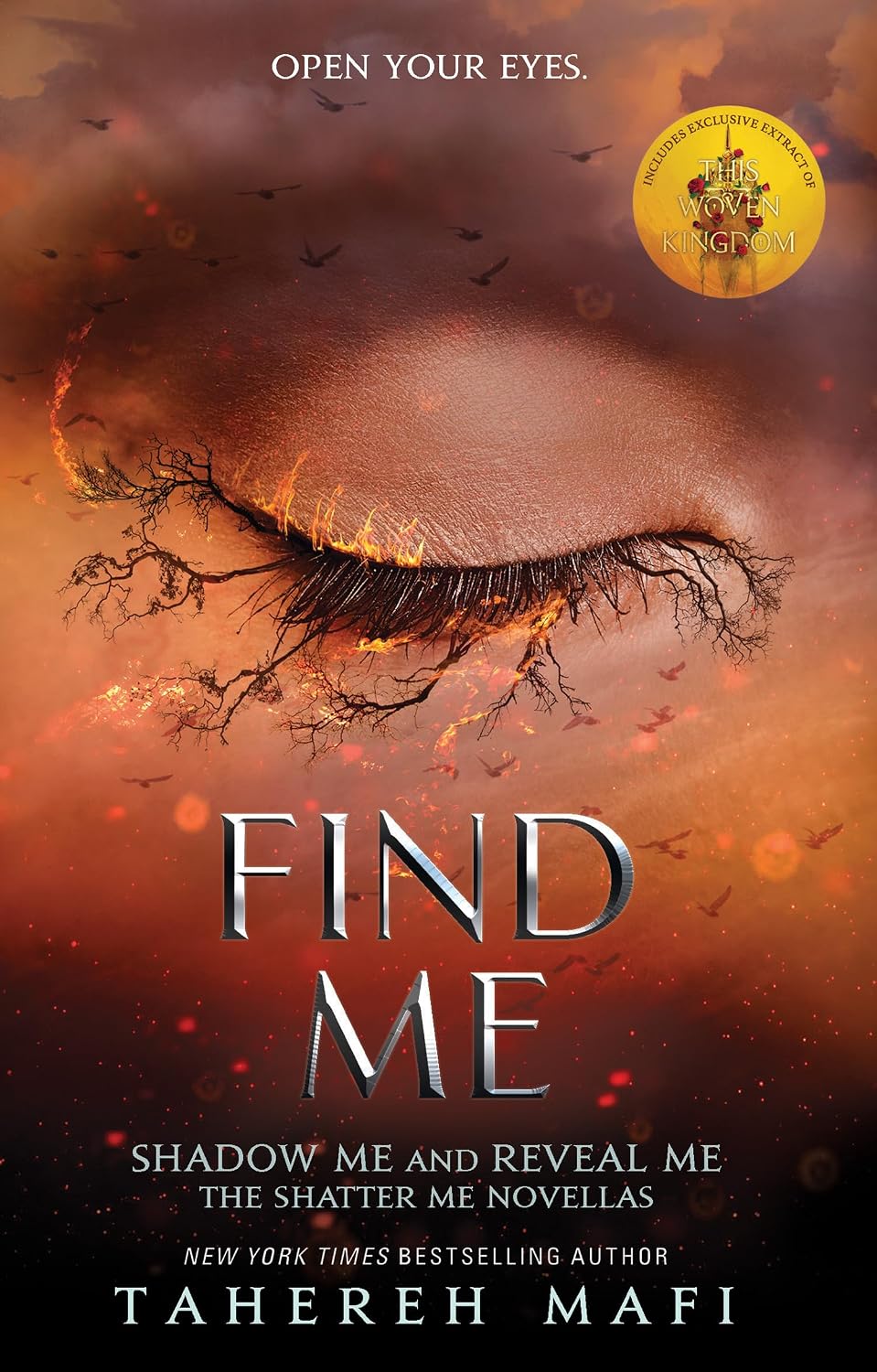 Find Me (shatter Me)