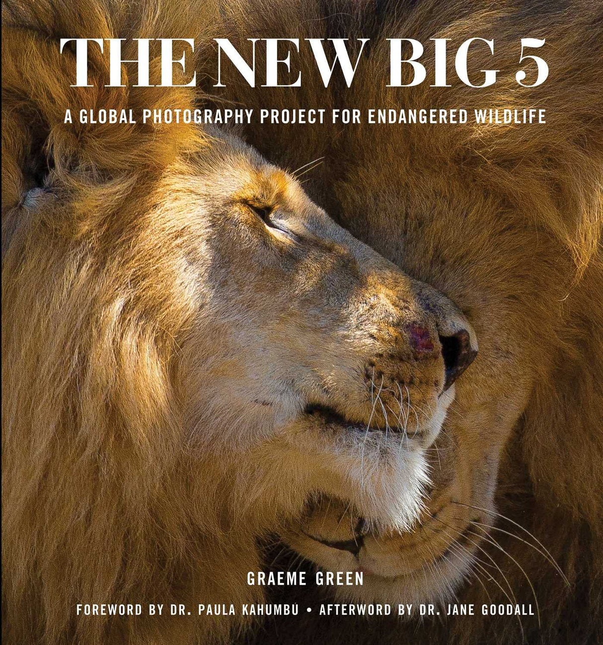 New Big Five