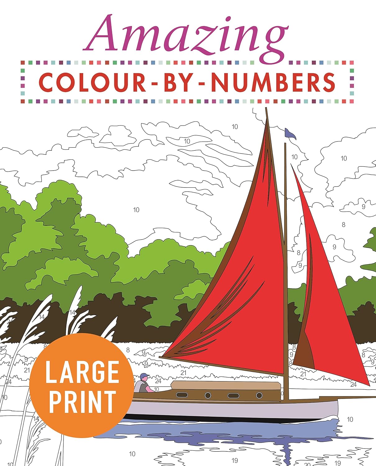 Amazing Colour by Numbers Large Print