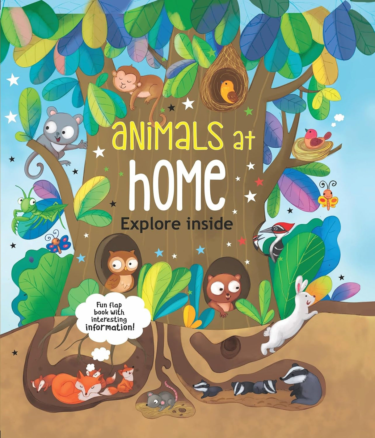Torch Discovery Book: Jungle Animals