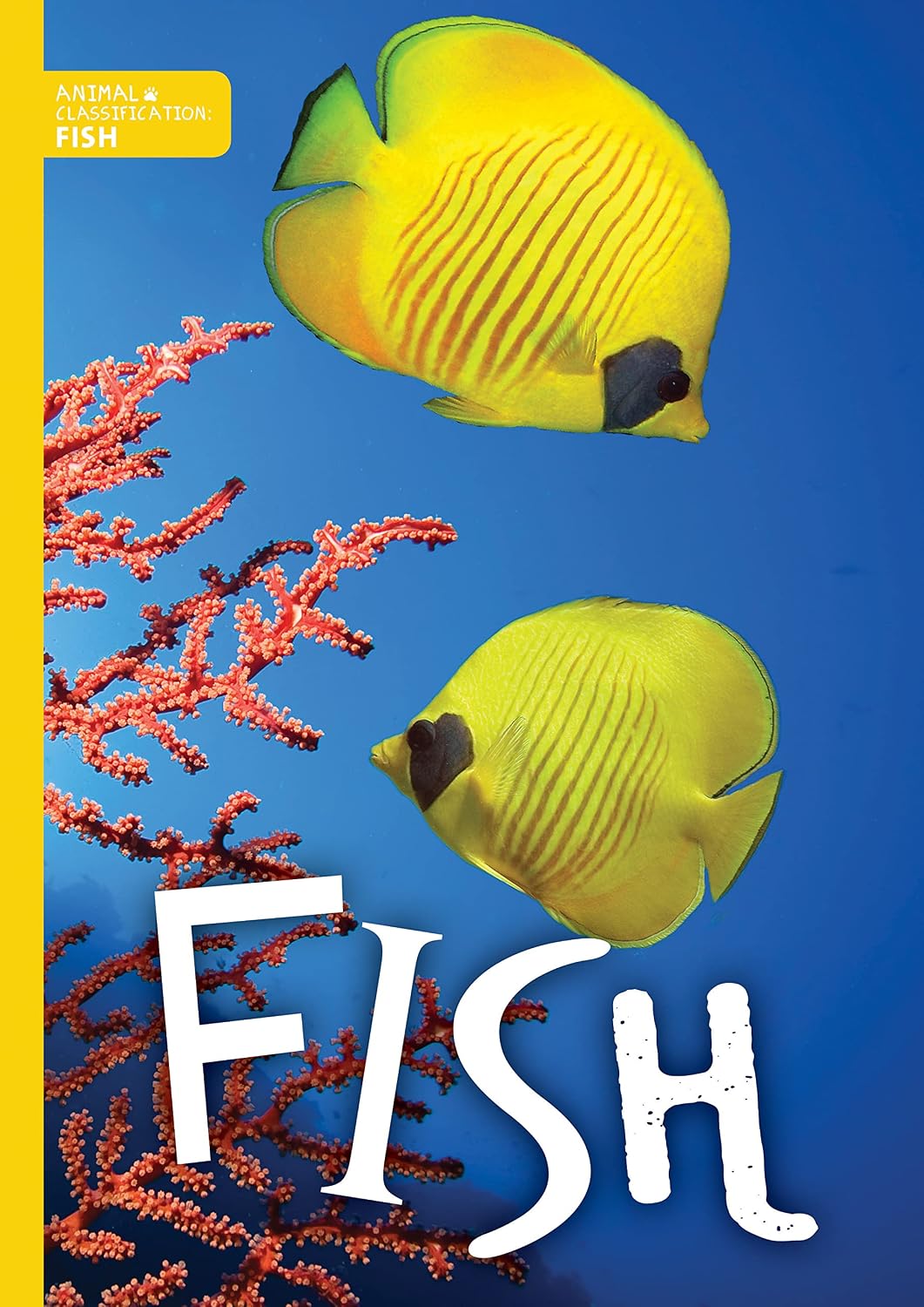 Fish (living Things and Their Habitats)