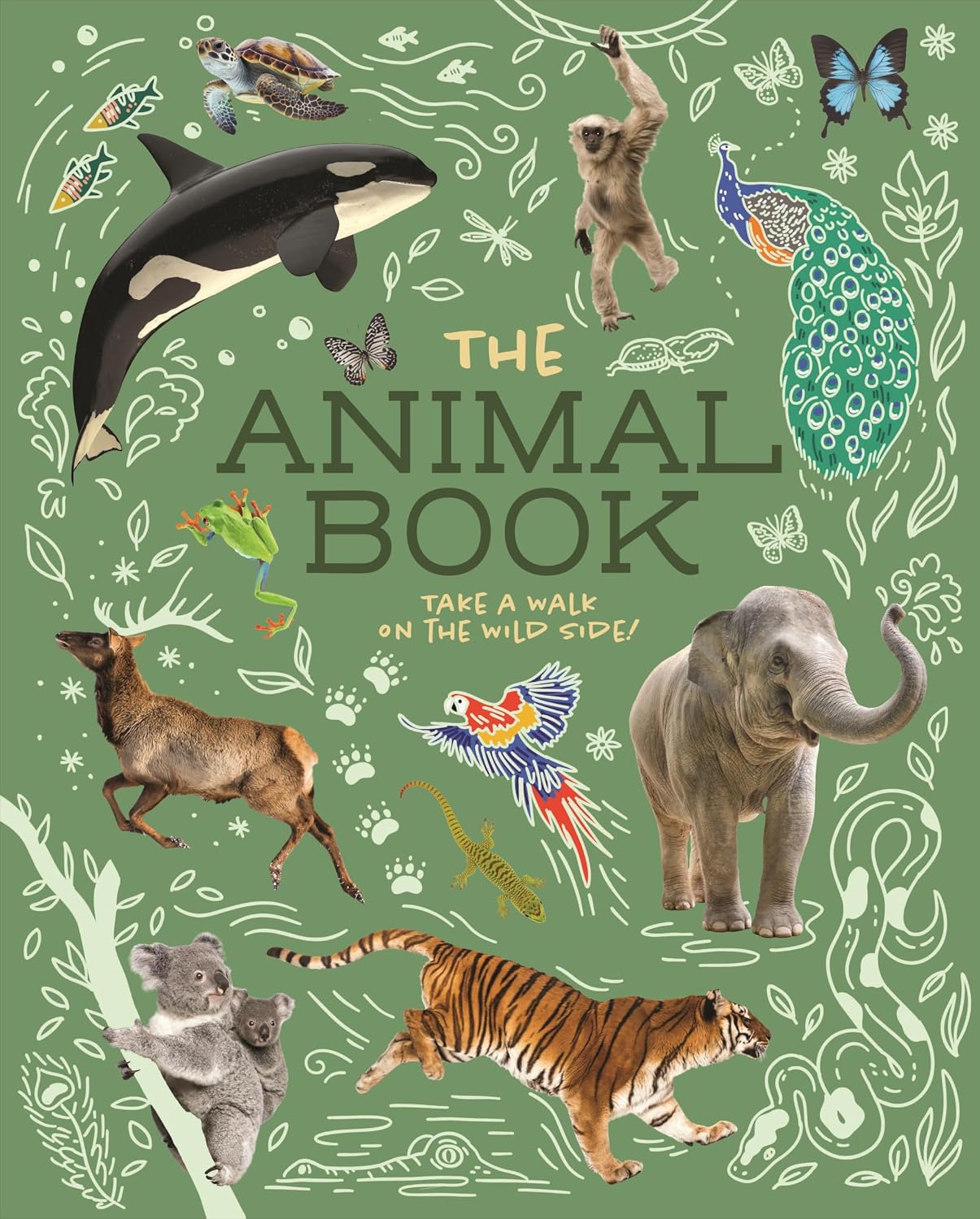 Animal Book: Take a Walk on the Wild Side!