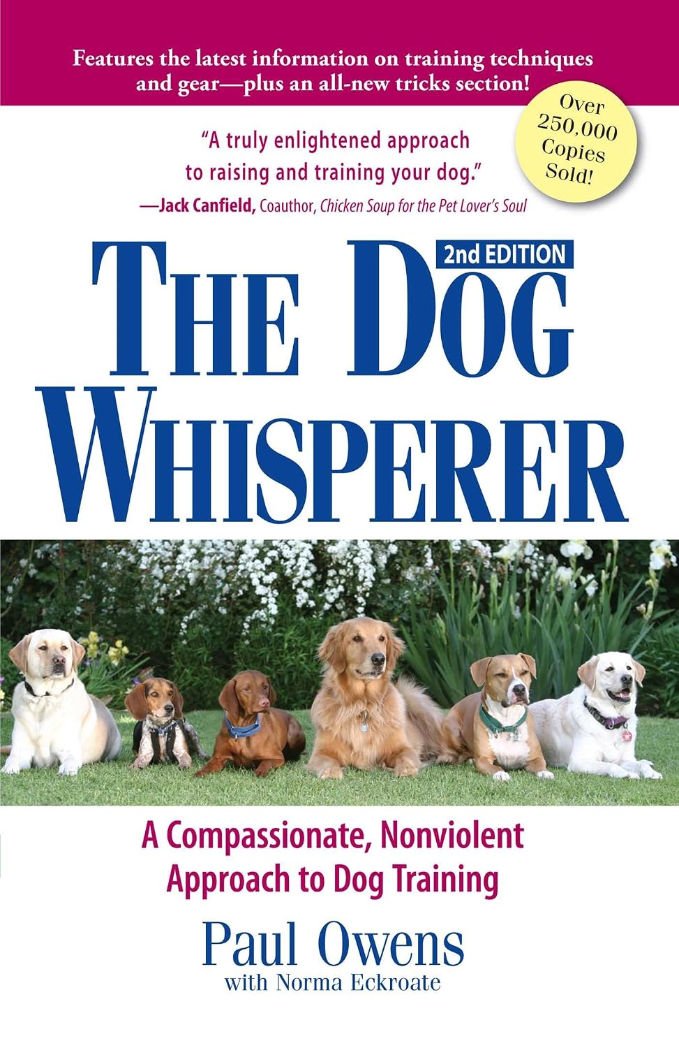 The dog whisperer