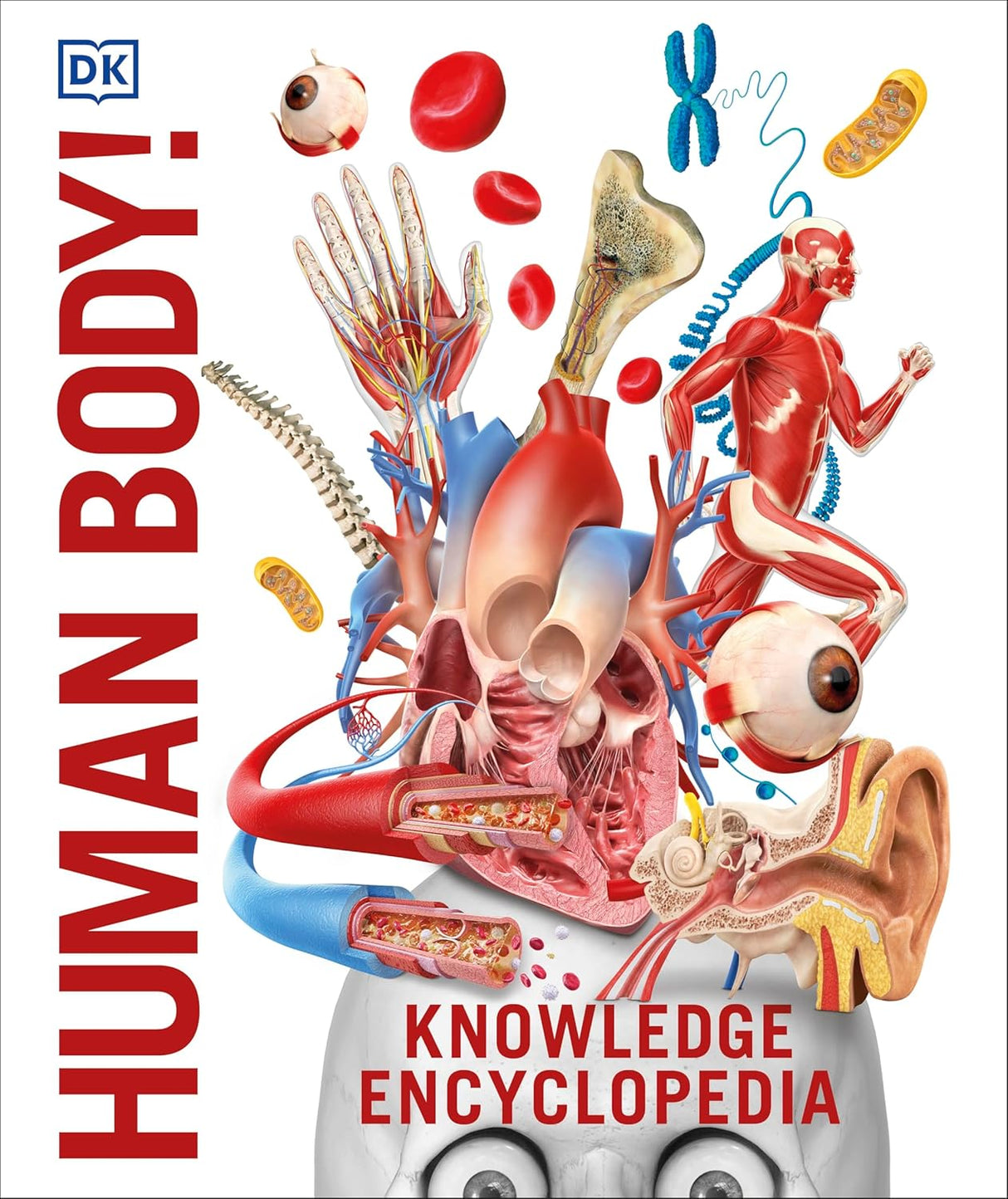 Human Body!