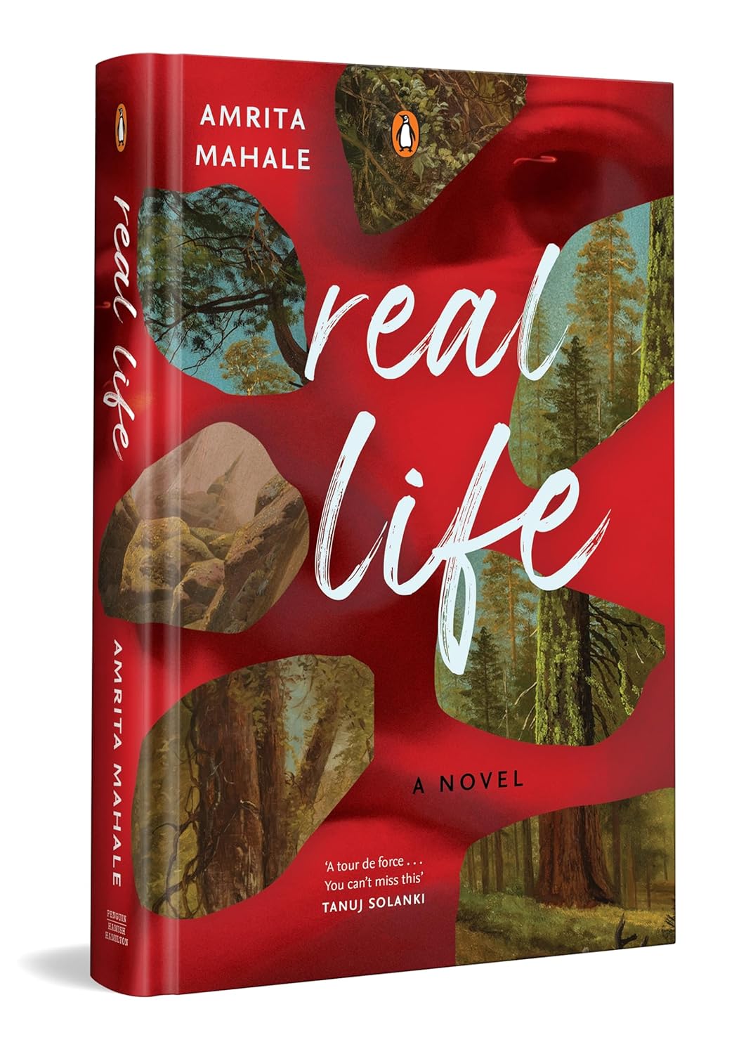 Real Life: a Haunting Literary Mystery Set in the Himalayas