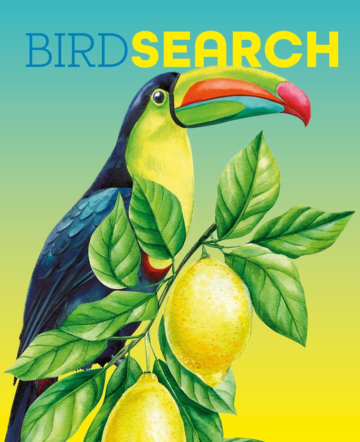 Birdsearch Wordsearch: 90 Bird-themed Puzzles