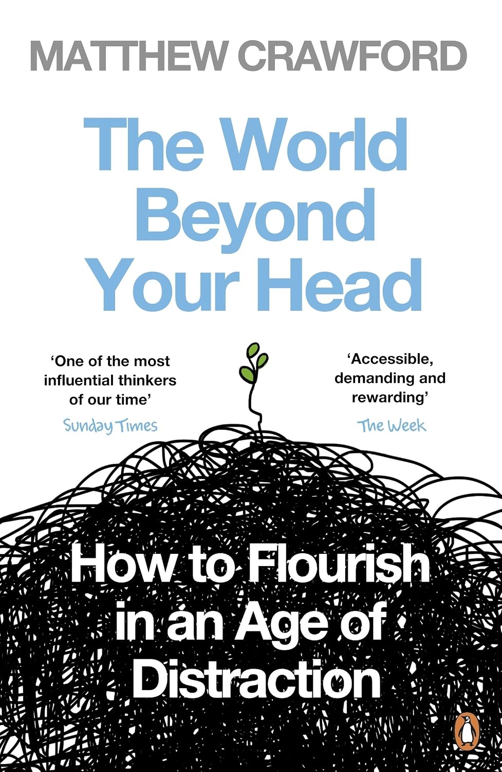 World Beyond Your Head: How to Flourish in an Age of Distraction