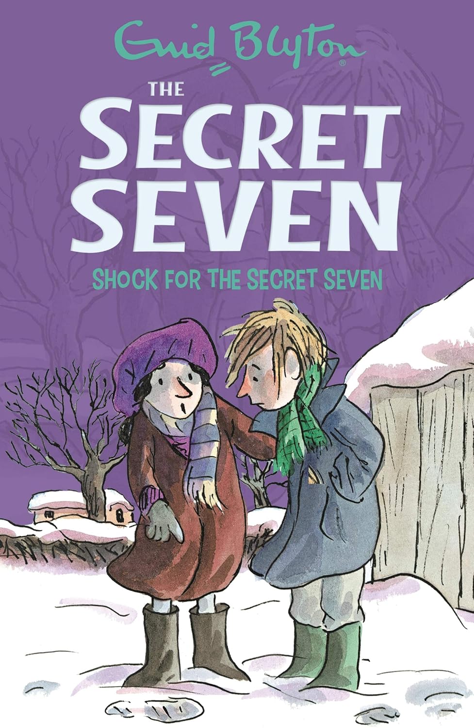 Secret Seven: 13: Shock for the Secret Seven