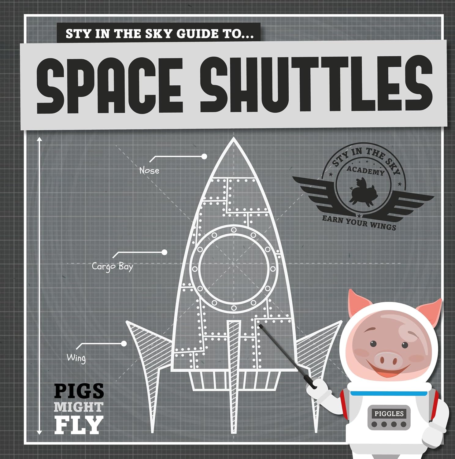 Space Shuttles