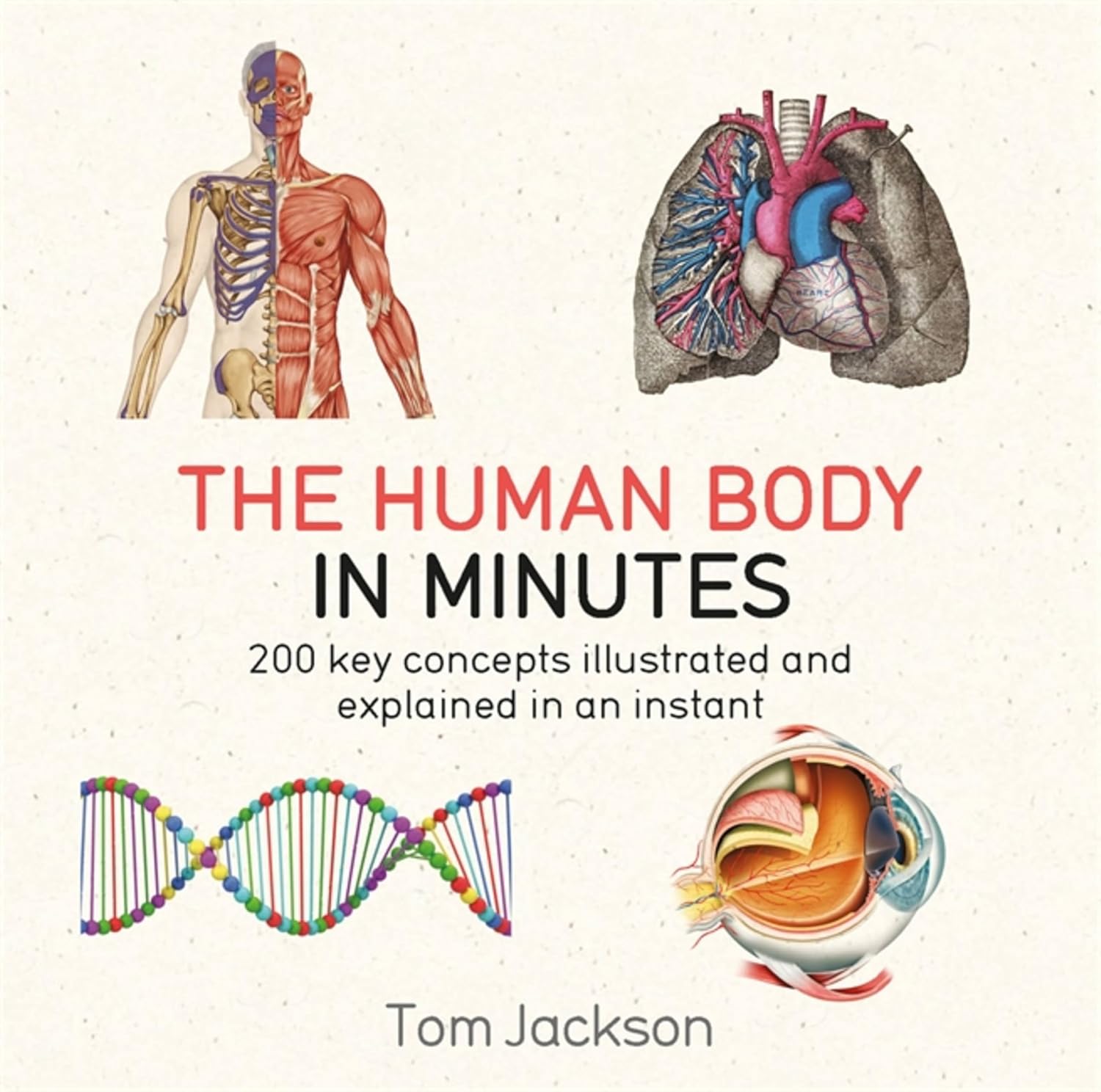 The Human Body in Minutes (in Minutes Series)