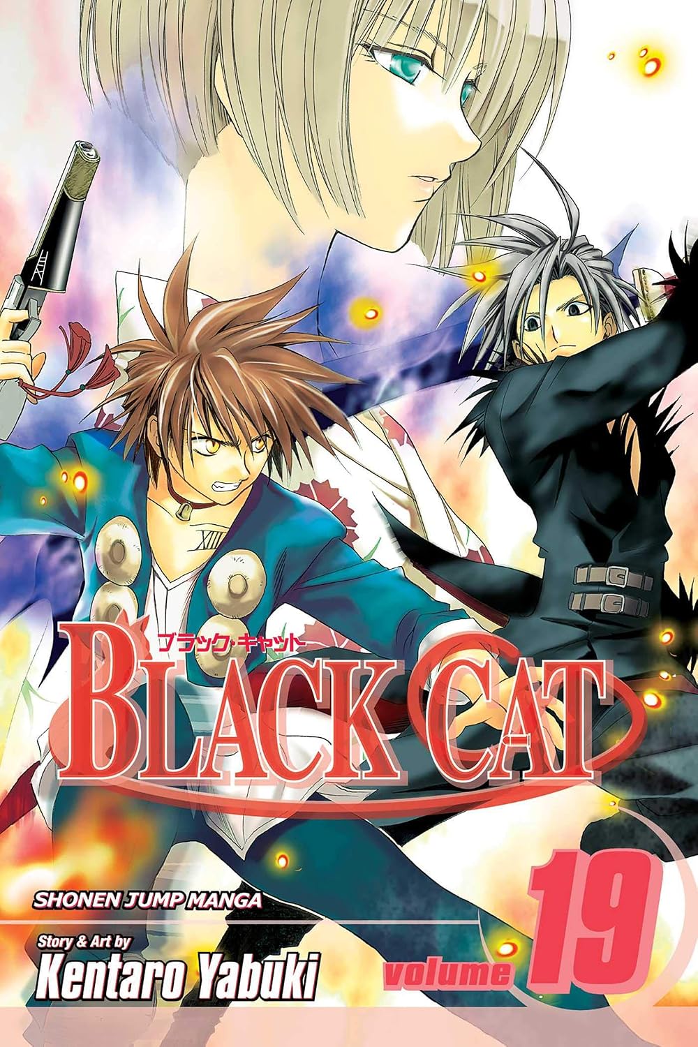 Black Cat, Vol. 19