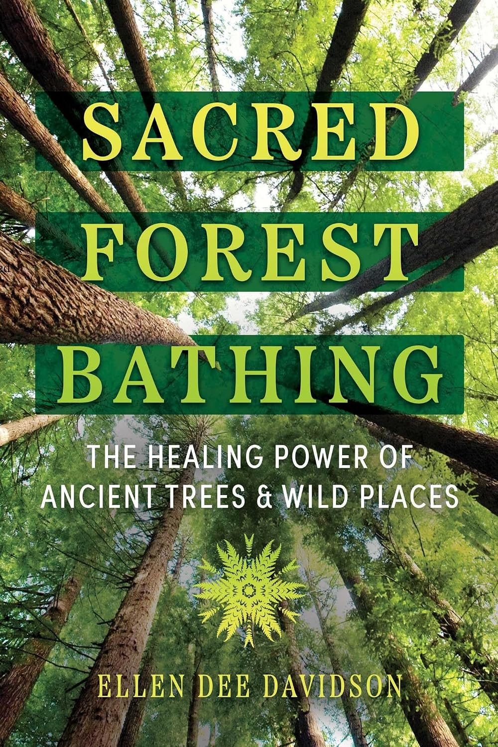 Sacred Forest Bathing: the Healing Power of Ancient Trees and Wild Places
