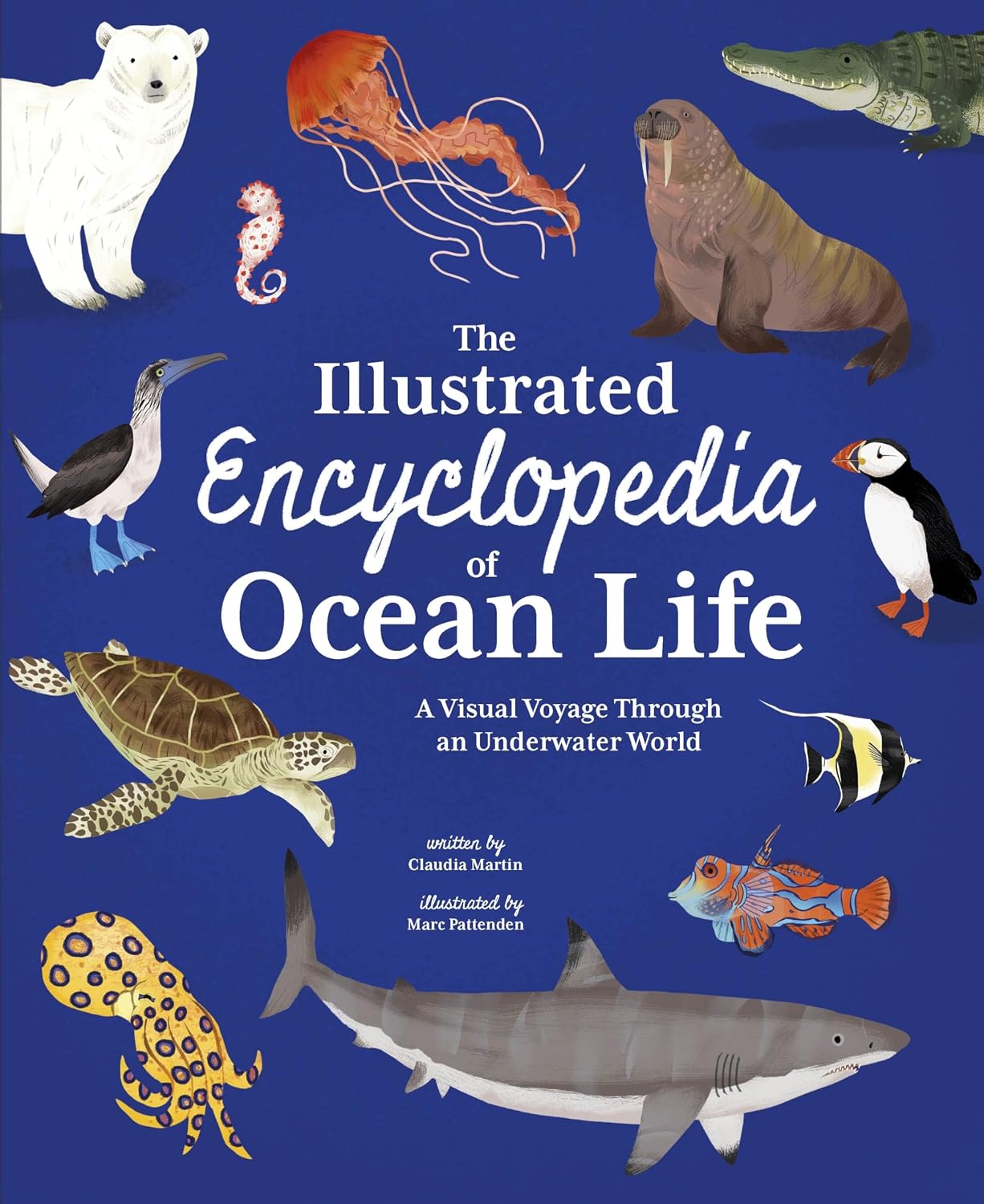 The Illustrated Encyclopedia of Ocean Life: A Visual Voyage Through an Underwater World
