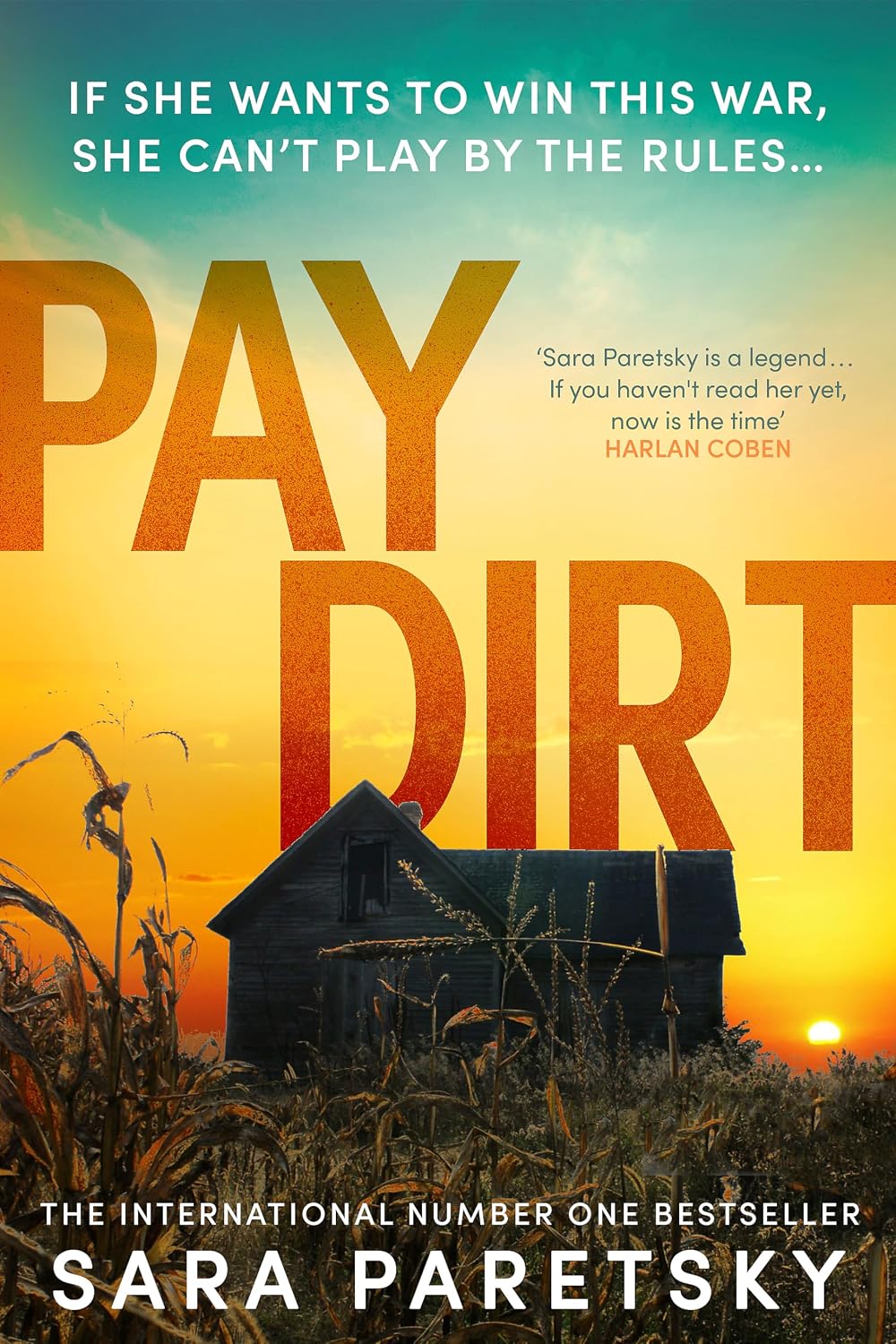 Pay Dirt: The Gripping New Crime Thriller from the International Bestseller