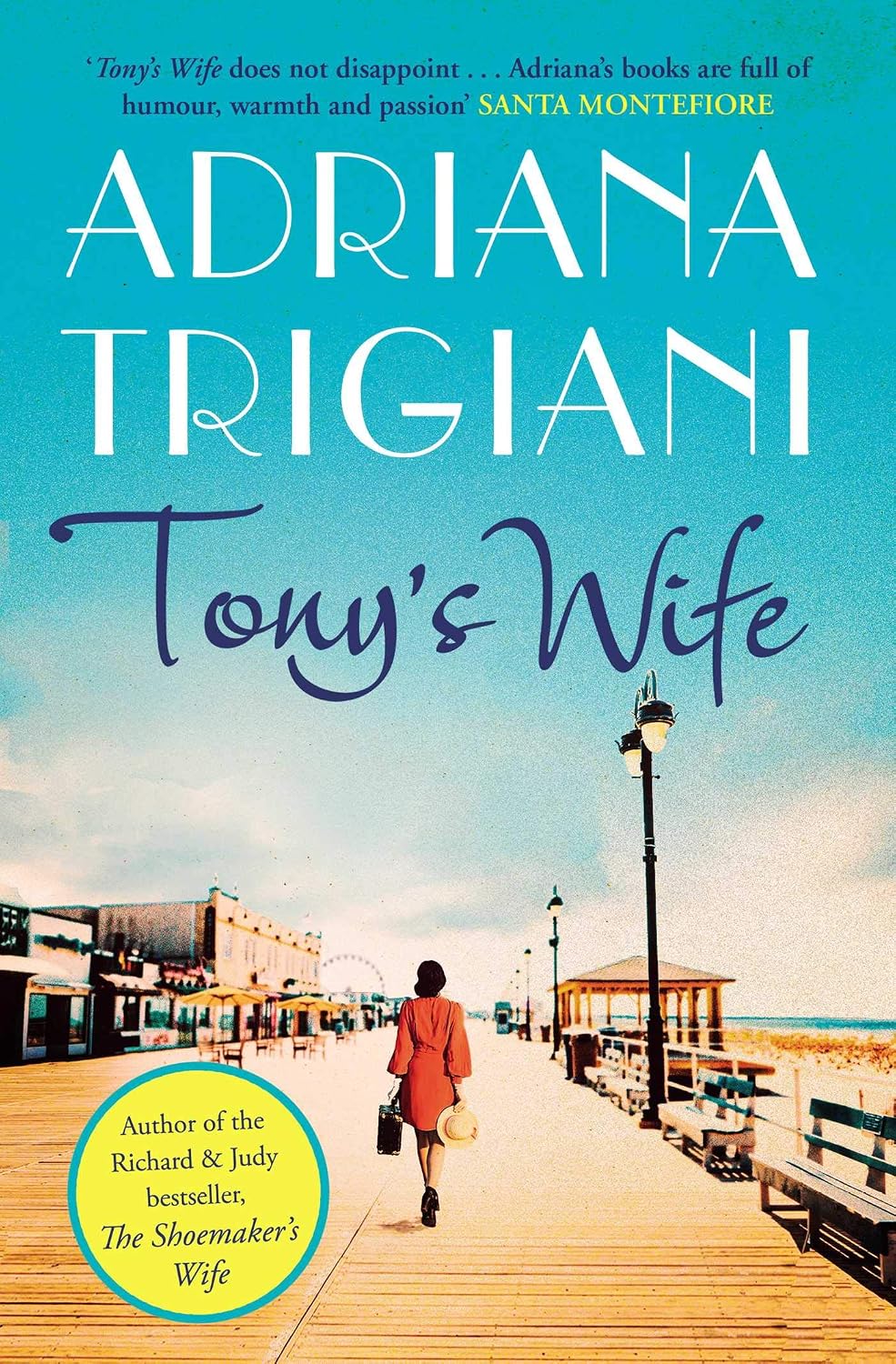Tony's Wife: A Novel