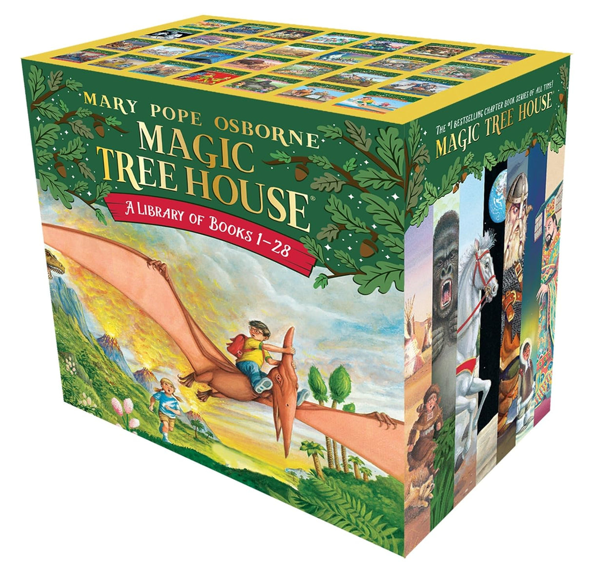 Magic Tree House A Library Of Books