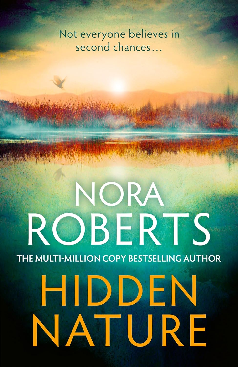 Untitled Nora Roberts 2025