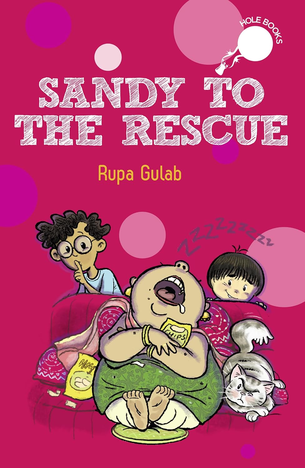 Sandy to the Rescue (hole Books)