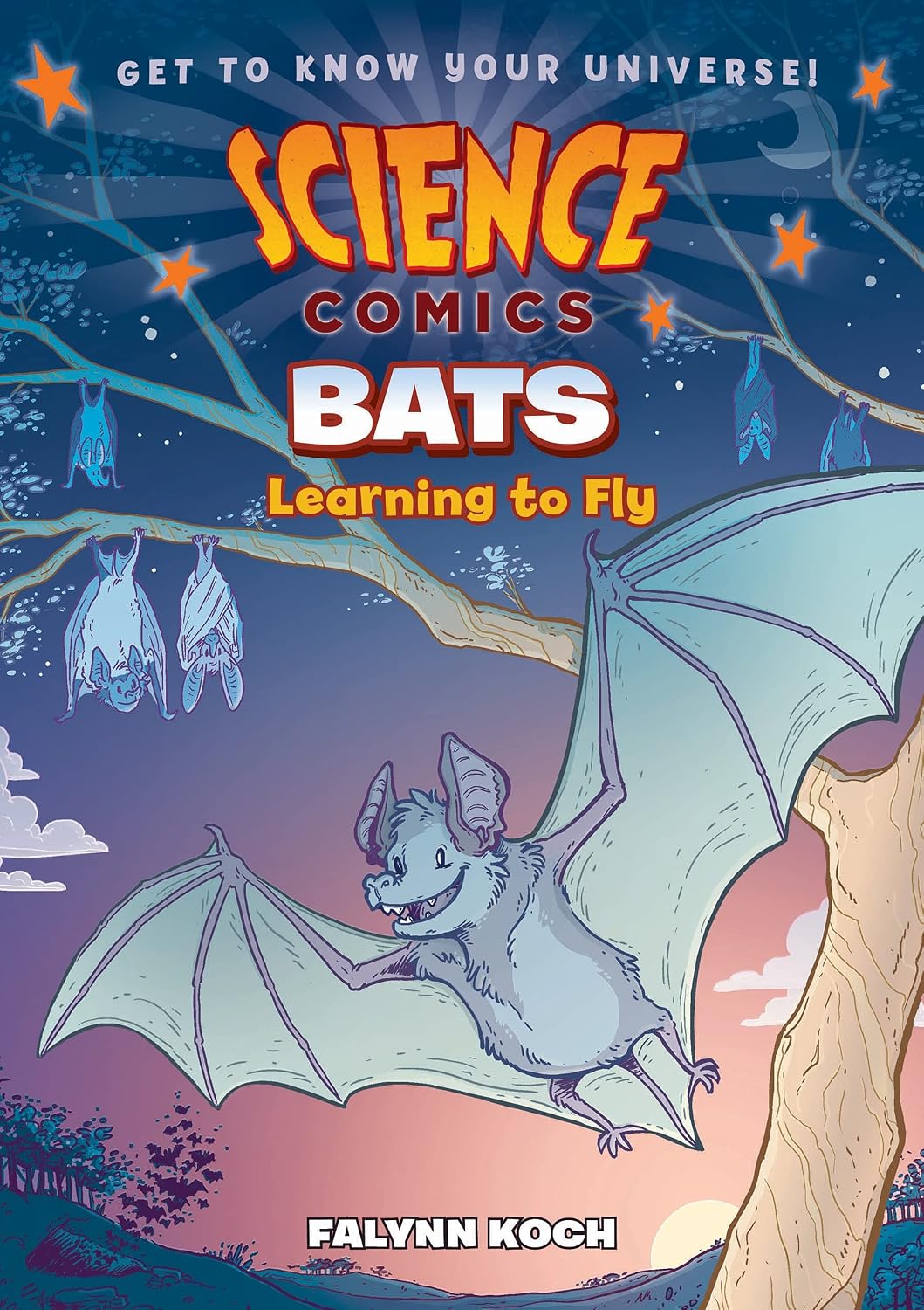 Bats: learning to fly